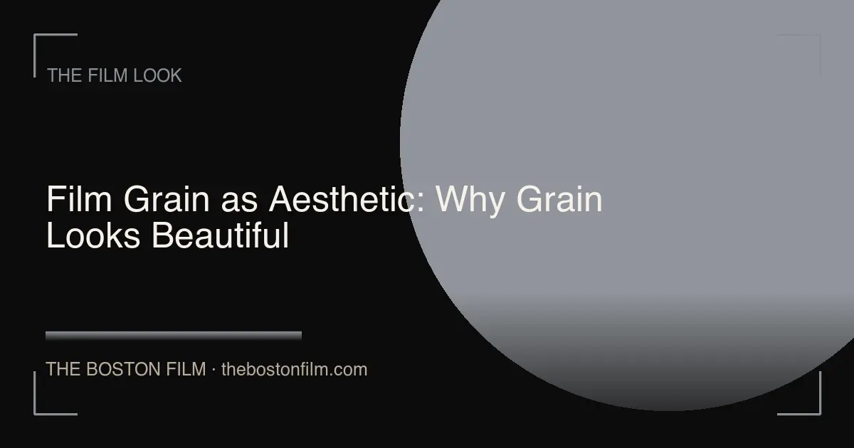 Film Grain as Aesthetic: Why Grain Looks Beautiful